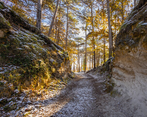 Fototapeta na wymiar verschneiter Waldweg führt durch Felsen