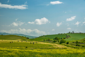Fototapeta na wymiar Lucania summer countryside landscape, Val d'Agri, Basilicata, Italy