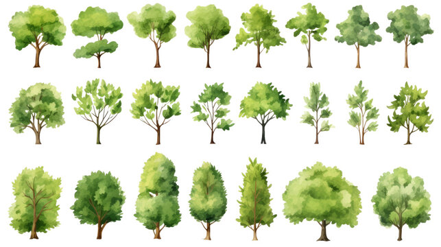 Watercolor trees collection isolated on transparent background.