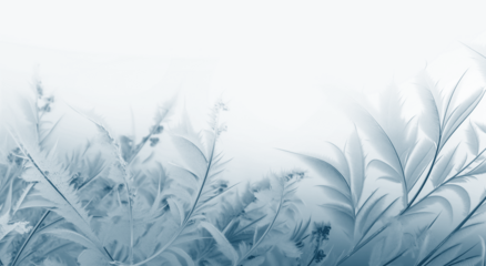 Transparent image of frost-covered plants in winter. Winter nature background. ice background texture pattern overlay, png. Beautiful frosty pattern 