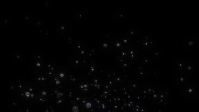 Colorful Bubble Animation. Rising Bubble. Loop Animation