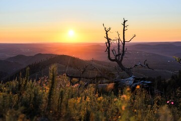 Ruidoso sunrise