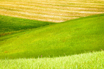 Obraz premium Lucania summer countryside landscape, Basilicata, Italy