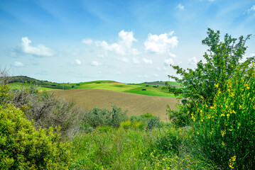 Fototapeta na wymiar Lucania summer countryside landscape, Basilicata, Italy
