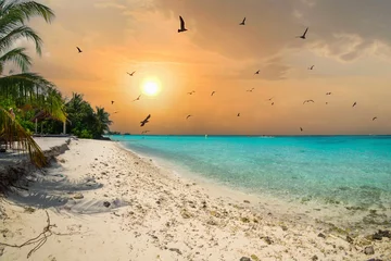 Fotobehang Maldives (Maldive) island beach. tropical landscape, white sand with palm trees. Luxury travel resort. Exotic beach view, amazing nature. Sunset © Bulent