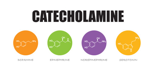 monoamine neurotransmitters types, formulas on bubbles, structures, catecholamine