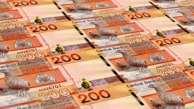 Gambia Gambian Dalasi 200 Banknotes Money Printing House, Printing Two Hundred Gambian Dalasi, Printing Press Machine Print out Gambian Dalasi, Being printed by currency press machine 200 Gambian