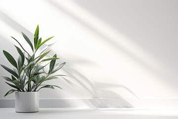 Minimalistic light background with blurred foliage shadow on a white wall. Beautiful background for presentation with marble floor.