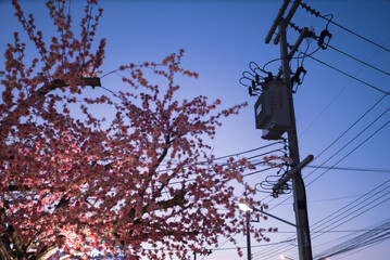 electrical transformer is a vital component in electrical distribution systems that is used to...