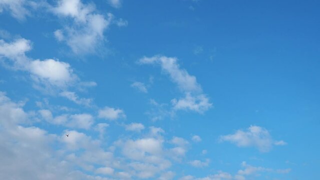 4K timelapse of beautiful blue sky with light clouds background. Natural seasonal sky. Delicate hue paints the atmosphere with sense of tranquility. Weather day. Ethereal cloud. Aviation and travel.