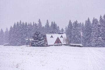 Erste Winterwanderung durch den verschneiten Thüringer Wald bei Tambach-Dietharz - Thüringen - Deutschland
