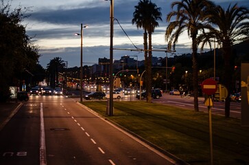 Tropical Twilight: Palm-Lined Streets at Dusk Barcelona