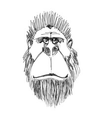 Cartoon style drawing of a monkey. Funny character.
