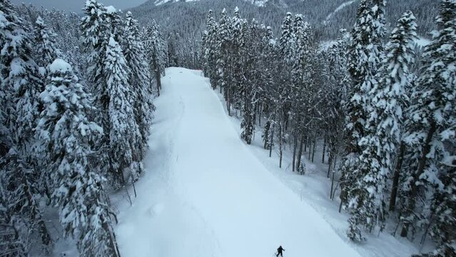 A girl ski coach together with a girl student do exercises, going down a ski track laid in the forest. There are snow-covered trees all around. Training, practice. 4K footage