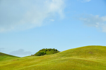 Fototapeta premium summer countryside landscape, Basilicata, Italy 