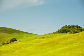 summer countryside landscape, Basilicata, Italy 