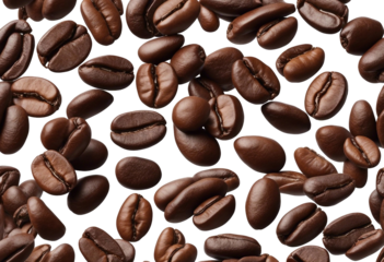 Set of roasted coffee beans on transparent background top view