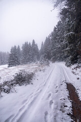 Erste Winterwanderung durch den verschneiten Thüringer Wald bei Tambach-Dietharz - Thüringen - Deutschland