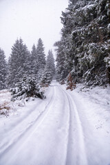 Erste Winterwanderung durch den verschneiten Thüringer Wald bei Tambach-Dietharz - Thüringen - Deutschland