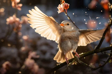 Foto op Canvas A small bird landing on a branch © Natalia