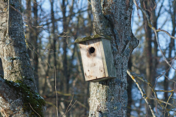 wooden nest for birds in a tree