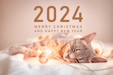 2024 Adorable tabby cat sleeping on the bed with blurred Christmas lights. Cute kitty relaxing in festive room. Merry Christmas. Pet and winter holidays. High quality photo