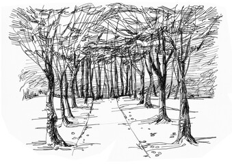 The road in the grove goes into the distance. Autumn forest. Ink drawing.