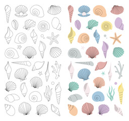 Tropical underwater shells. Sea shells vertical banner. Freshwater algae, corals, starfish, sea mollusks, scallop, pearls. Vector illustration.