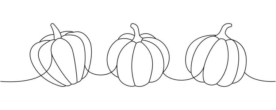 Pumpkins. Autumn pumpkins one line continuous drawing. Autumn halloween vegetables continuous one line illustration. Vector minimalist illustration.