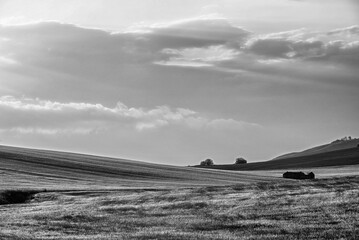 Black & white summer countryside landscape inside Basilicata
