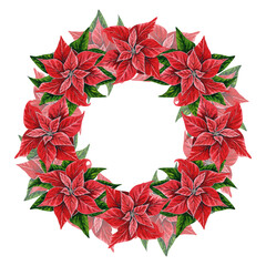 Christmas wreath with poinsettia flowers, hand drawn watercolor illustration isolated on white background. Floral illustration for Christmas decoration, postcards, invitations.