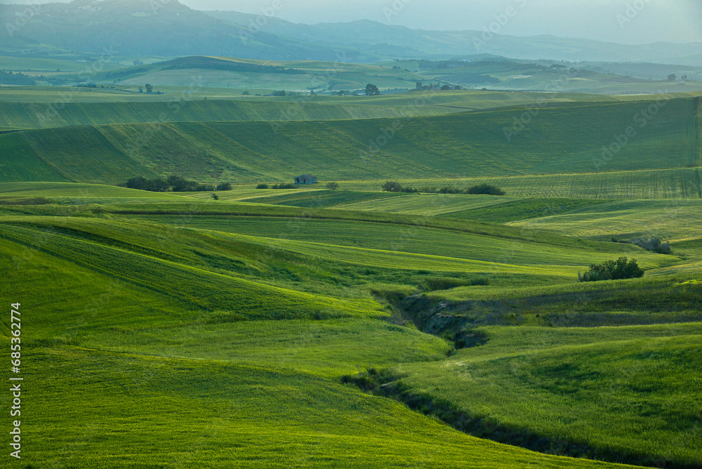 Wall mural summer countryside landscape, Basilicata, Italy 