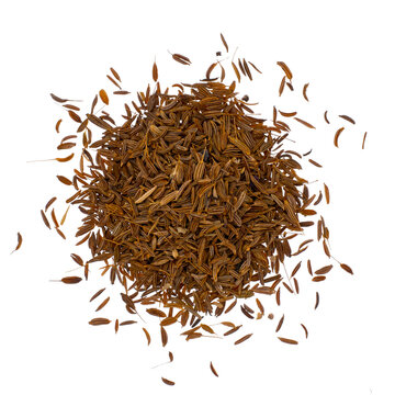 Cumin seeds - spice transparent background png