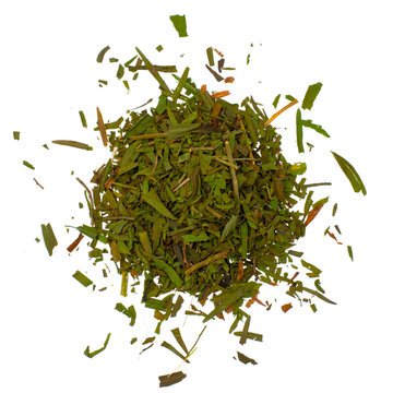 Tarragon leaves - spice transparent background png
