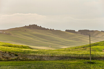 summer countryside landscape, Basilicata, Italy 