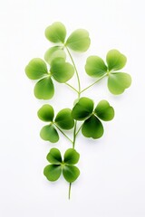Design featuring a leaf clover on a white backdrop.