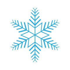 snowflake on a white isolated.Vector illustration