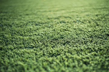 Tableaux sur verre Herbe frozen grass on the football pitch