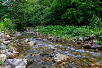 A swift stream with cold water in the Carpathian mountains near the village of Mykulychin in Ukraine