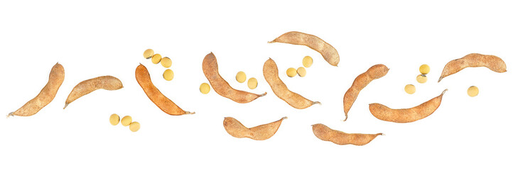 Dried soybean pods and beans isolated on a white background, top view.