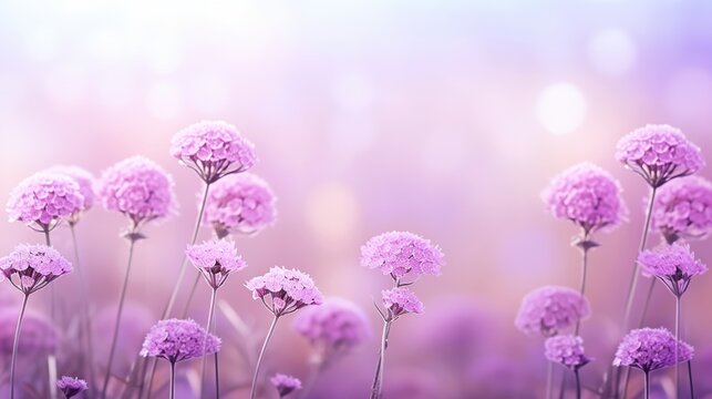 Beautiful violet verbena flowers in blur natural background. AI generated image