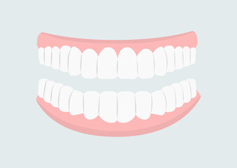 Mouth with teeth concept. Oral hygiene and cleanliness, stomatology. Beautiful smile. Medical infographic and educational materials. Cartoon flat vector illustration isolated on grey background