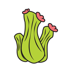 Isolated green cactus icon flat design Vector
