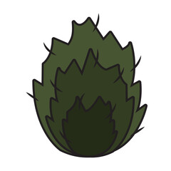 Isolated green cactus icon flat design Vector