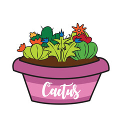 Group of different colored cactus on a pot Vector