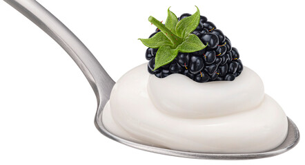Spoon of blackberry yogurt isolated