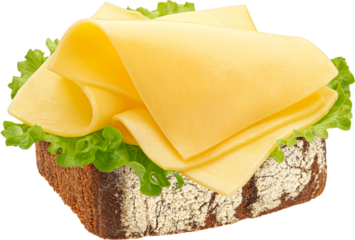 Gouda slices on rye bread isolated