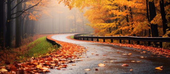 Rainy autumn road with leaves on a bend.