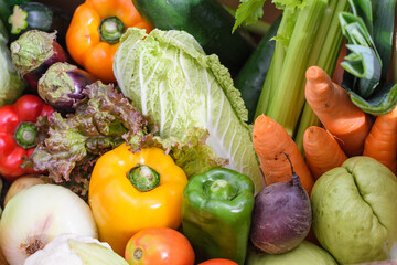 fresh vegetables on white