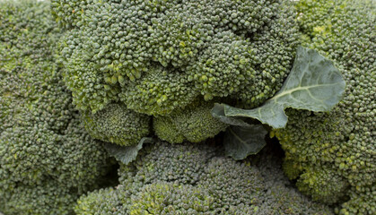 Fresh broccoli as backgrond, top view